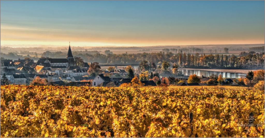 Vue de Pouilly et la Loire depuis les vignes