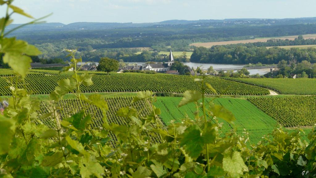 Vue de Pouilly et la Loire depuis les vignes